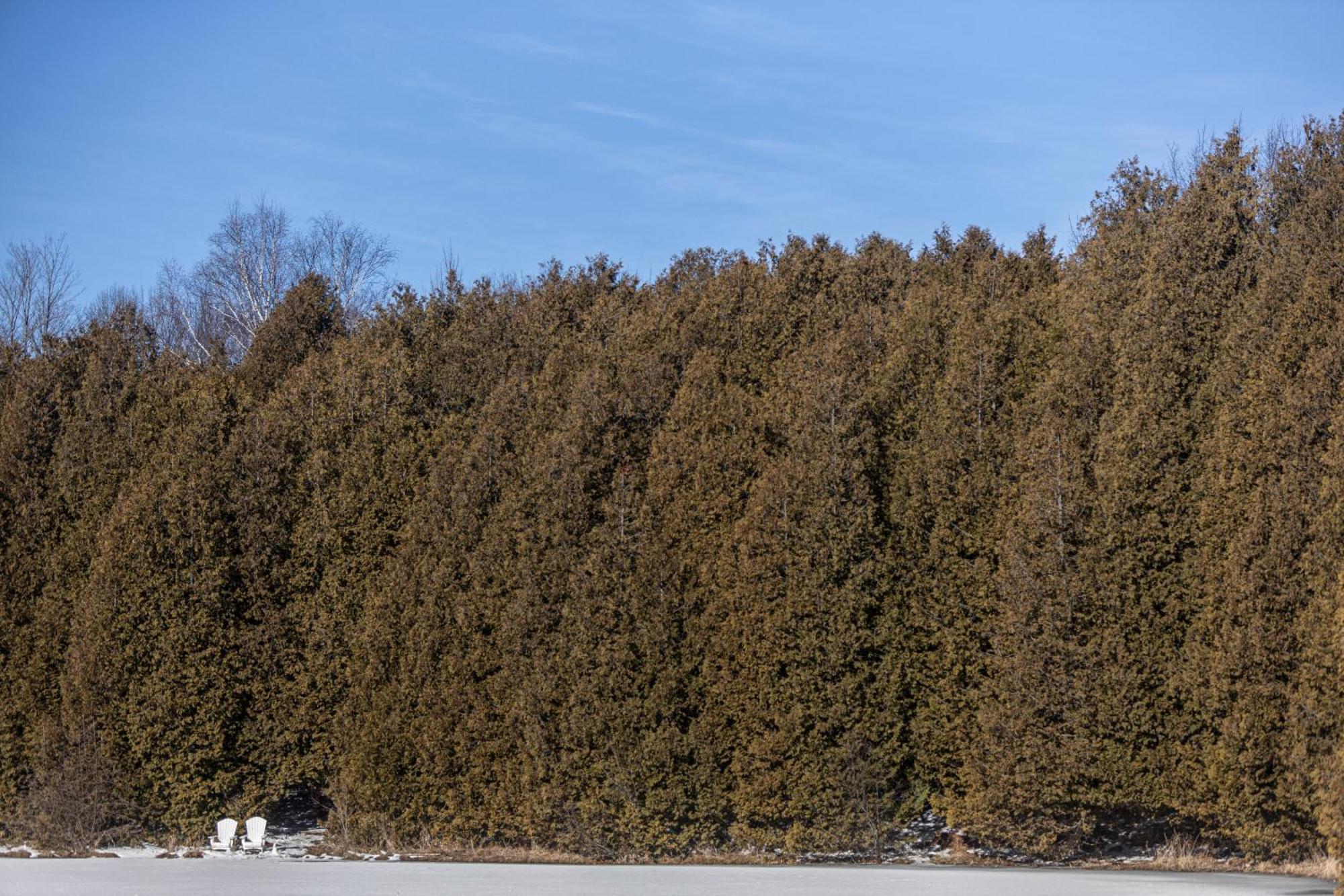 Millcroft Inn & Spa Village Of Alton Экстерьер фото